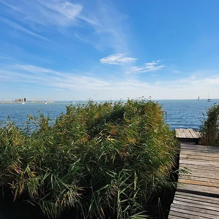 Blaha Lujza Balaton Daire