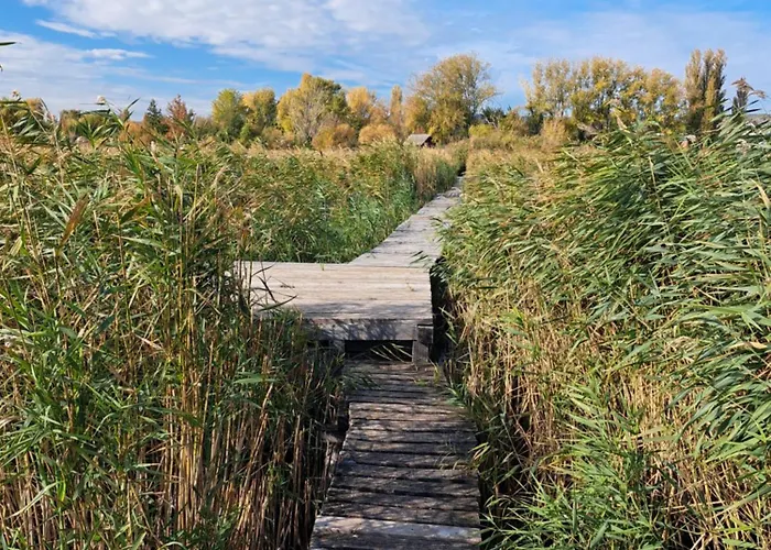Blaha Lujza Balaton * Alsóörs